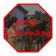 INAPH In-Breeding Check APK