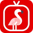 NetMirror - Movies Web Series APK